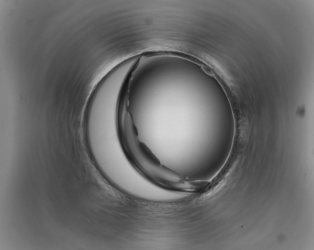 X0000091360885200708171521