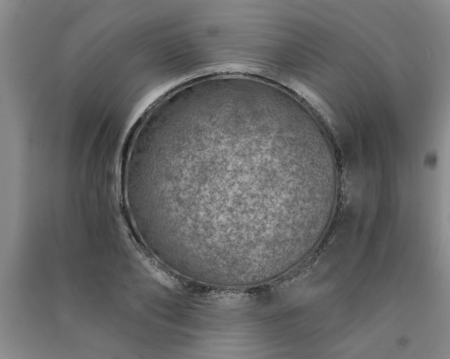 X0000091360886200708171521