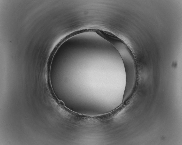 X0000091360888200708171521