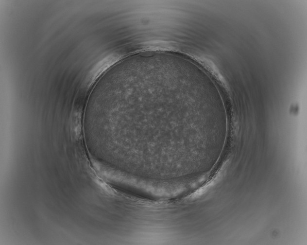 X0000091360889200708171521
