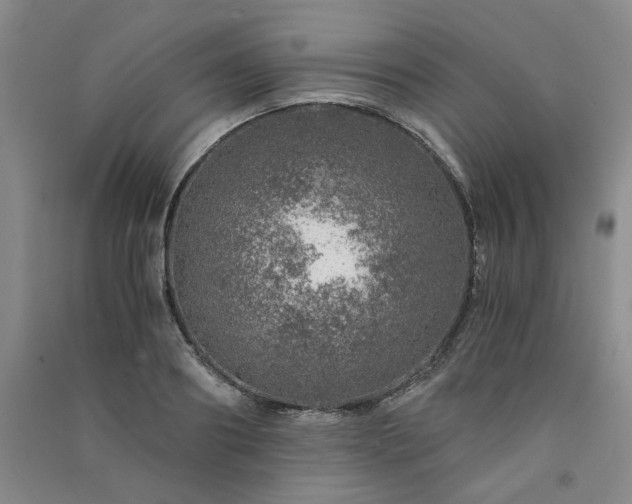 X0000091360890200708171521