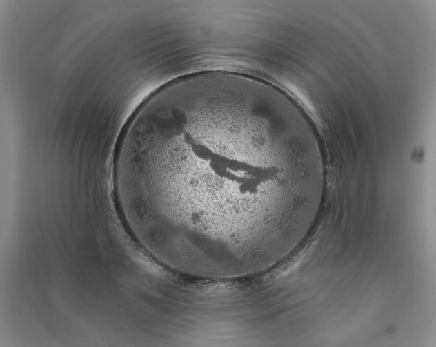 X0000091360891200708171521