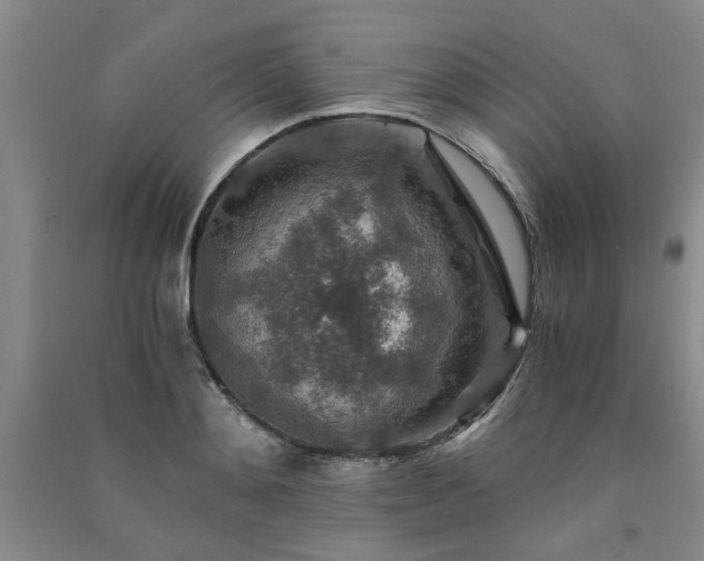 X0000091360892200708171521