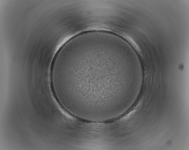 X0000091360893200708171521