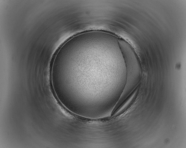 X0000091360894200708171521