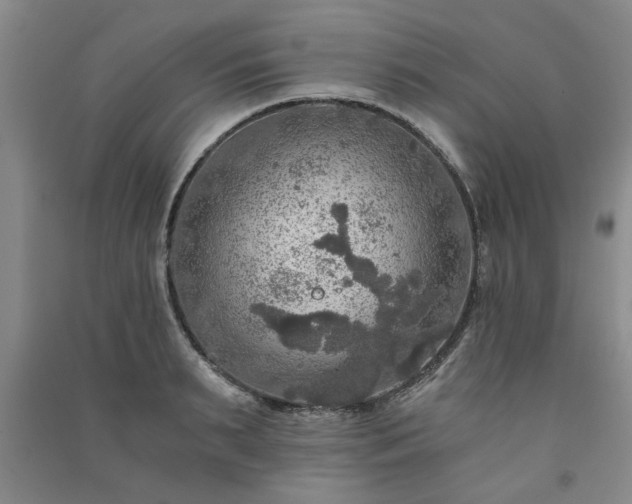 X0000091360895200708171521