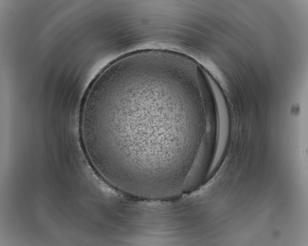 X0000091360896200708171521