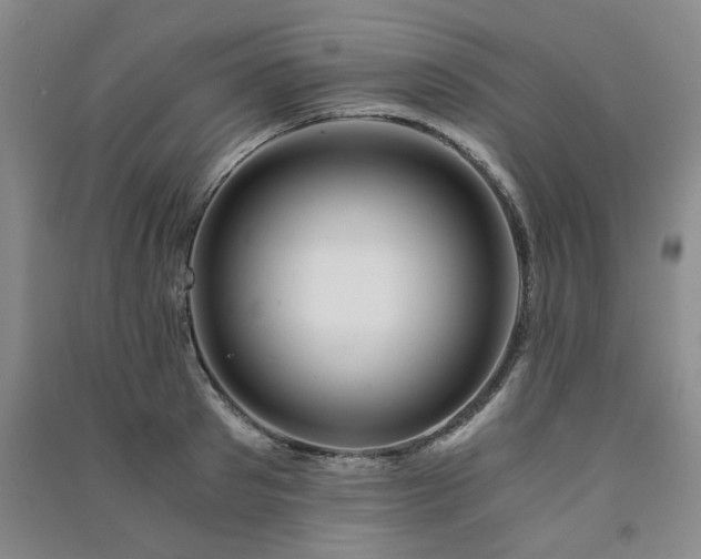 X0000091360897200708171521