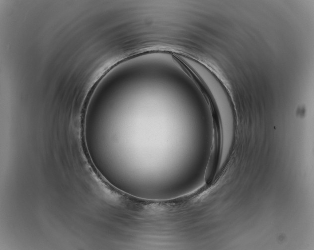 X0000091360898200708171521