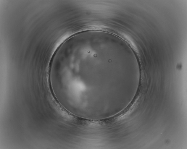 X0000091360899200708171521