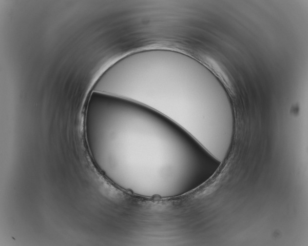 X0000091360900200708171521