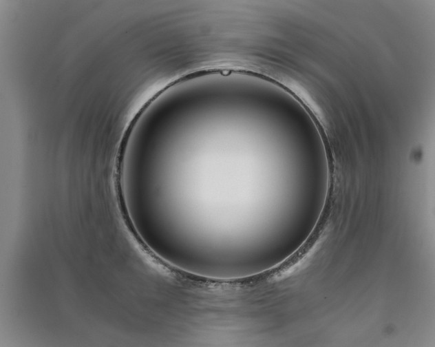 X0000091360901200708171521