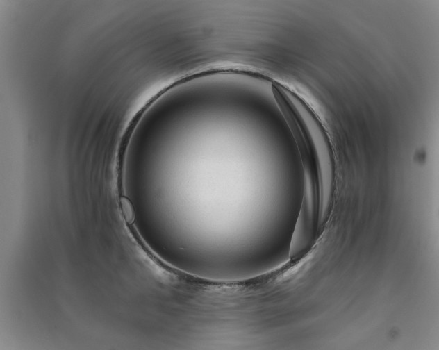 X0000091360902200708171521