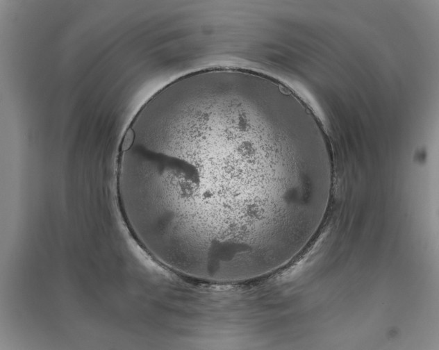 X0000091360903200708171521