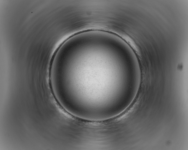 X0000091360904200708171521