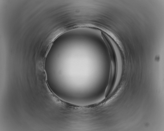 X0000091360905200708171521