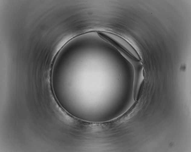 X0000091360906200708171521