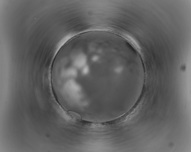 X0000091360907200708171521