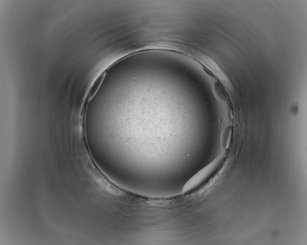 X0000091360908200708171521