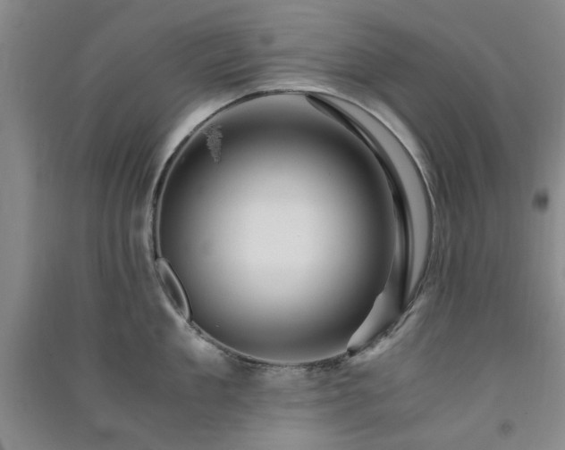 X0000091360909200708171521