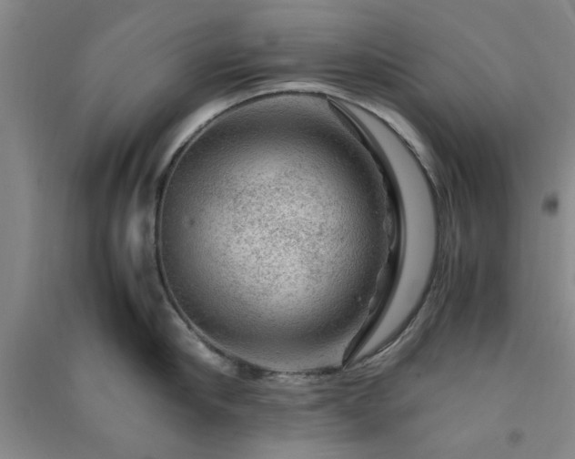 X0000091360910200708171521