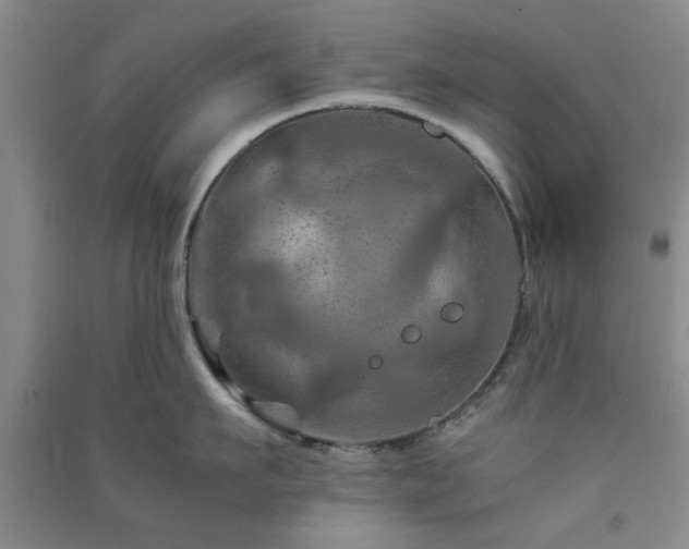 X0000091360911200708171521