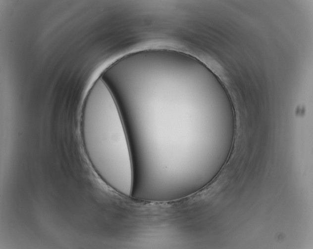 X0000091360912200708171521