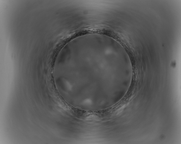 X0000091360913200708171520