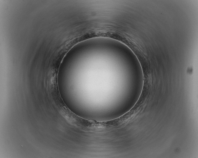 X0000091360914200708171520