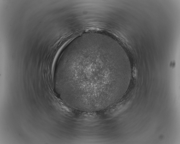 X0000091360915200708171520