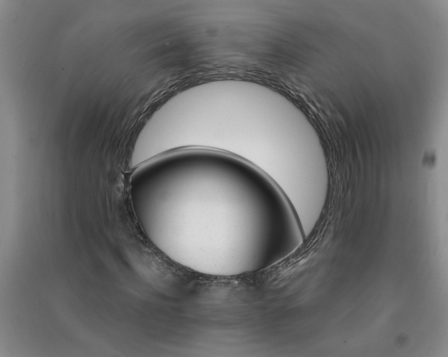 X0000091360916200708171520