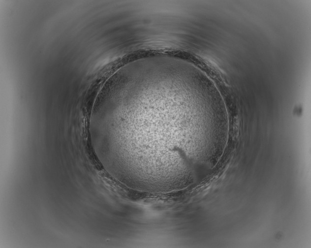 X0000091360917200708171520