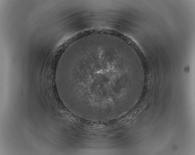 X0000091360919200708171520