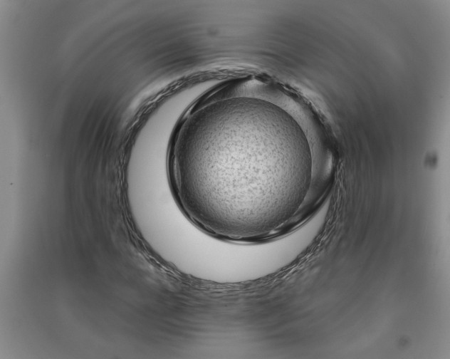 X0000091360920200708171520