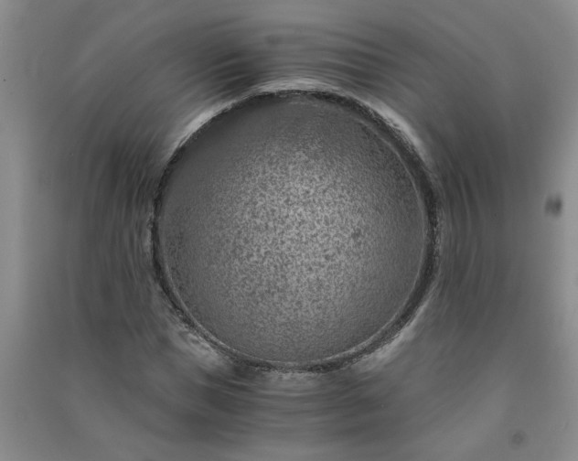 X0000091360921200708171520
