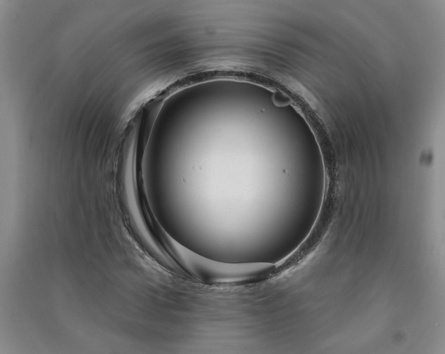 X0000091360922200708171520