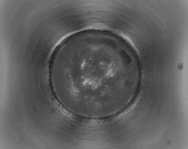 X0000091360923200708171520