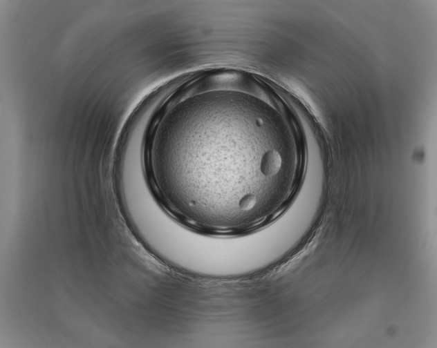 X0000091360924200708171520