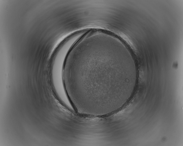 X0000091360926200708171520