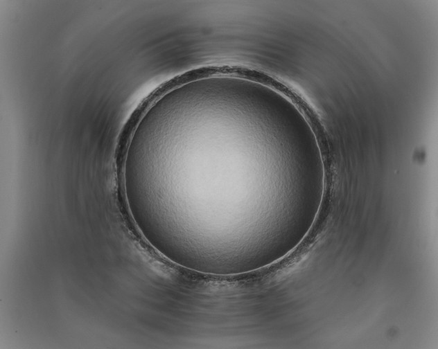 X0000091360927200708171520