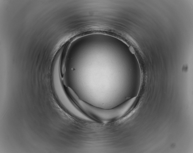X0000091360930200708171520