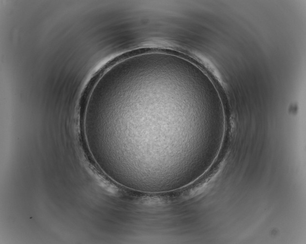 X0000091360931200708171521