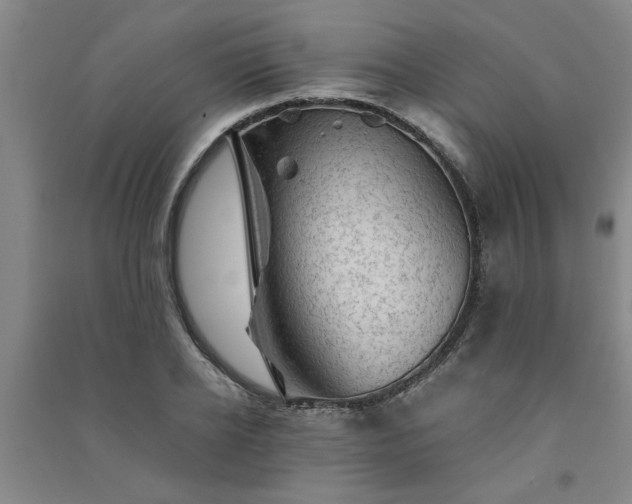 X0000091360934200708171521