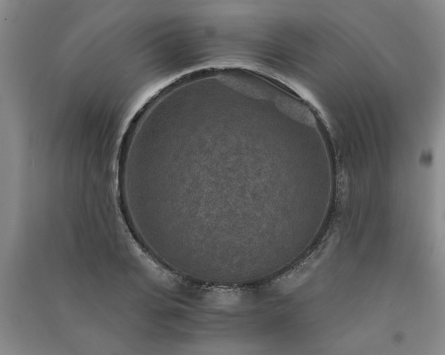 X0000091360935200708171521