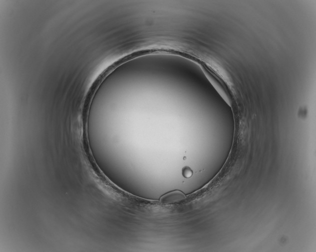X0000091360936200708171521