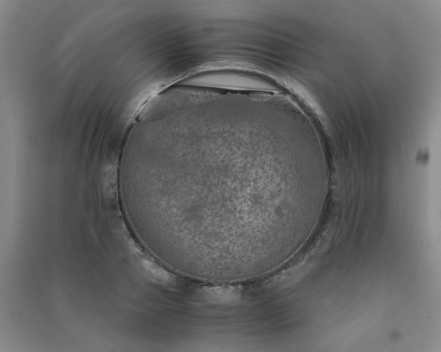 X0000091360937200708171521