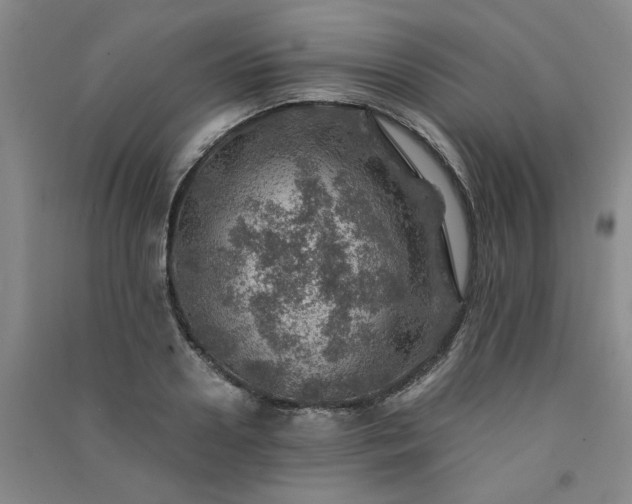 X0000091360938200708171521