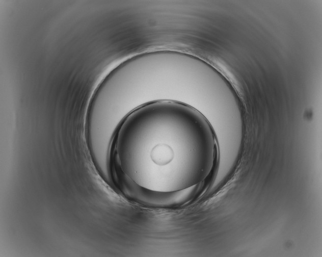X0000091360940200708171521