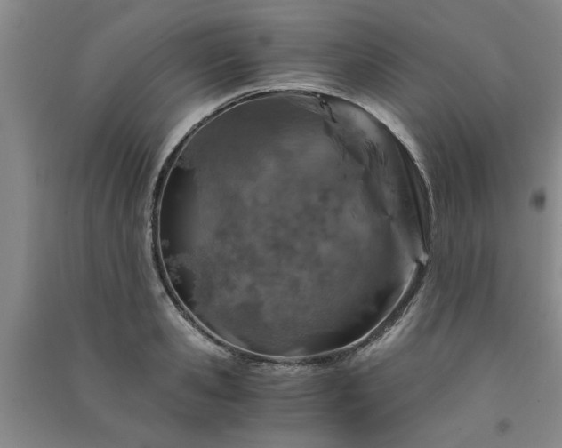 X0000091360941200708171521