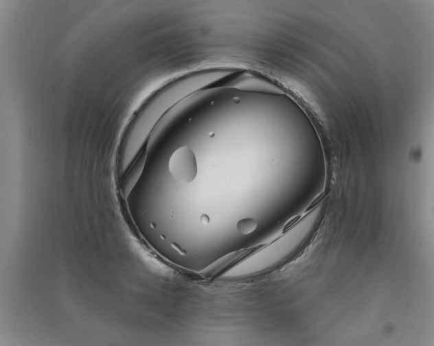 X0000091360942200708171521
